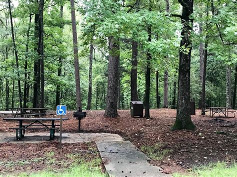 camping along the natchez trace  Add to Trip